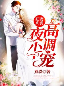 已完结小说《狂妻来袭：夜少，高调宠》章节免费阅读