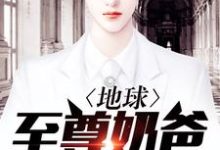 叶牧付依萱小说叫什么(地球至尊奶爸免费阅读)-红梅文学