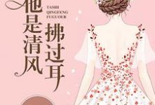 他是清风拂过耳凌惜陆景霆薄懿小说大结局免费试读-红梅文学