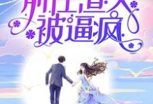 童画顾司小说叫什么(考大学,嫁小叔,前任渣夫被逼疯免费阅读)-红梅文学