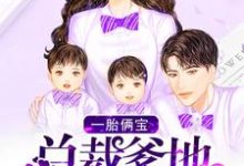 男女主人公慕容雪泽宇哥苏琪小说一胎俩宝:总裁爹地超宠哒章节免费阅读-红梅文学