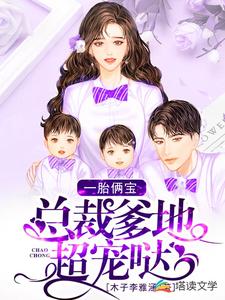 男女主人公慕容雪泽宇哥苏琪小说一胎俩宝：总裁爹地超宠哒章节免费阅读