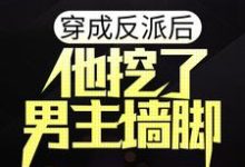 穿成反派后,他挖了男主墙脚小说完结了吗?在哪里可以免费读到?-红梅文学