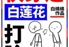 快穿之白莲花打脸专业户免费阅读,快穿之白莲花打脸专业户孟西梅孟何川小白-红梅文学