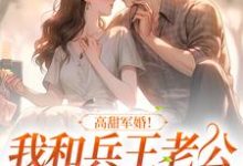 方盈林鸣是哪本书的主角?寻找高甜军婚!我和兵王老公生崽超幸福免费阅读-红梅文学