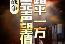 已完结小说《战争:我靠声望值踏平一方》章节在线阅读-红梅文学