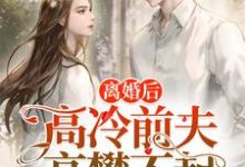 离婚后,高冷前夫高攀不起小说全文阅读需要付费吗?寻找免费资源-红梅文学