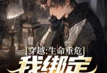 穿越:生命垂危,我绑定文娱系统主角颜清安柳清欢小说完结版章节在线阅读-红梅文学