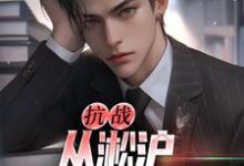 抗战：从淞沪保卫战开始最新章节，抗战：从淞沪保卫战开始免费阅读-红梅文学