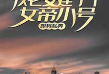 《我老婆建了个女帝小号跟我私奔》小说大结局免费试读 苏辰小说-红梅文学