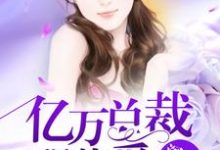 亿万总裁强势爱舒喻萧冰河，亿万总裁强势爱在线无弹窗阅读-红梅文学