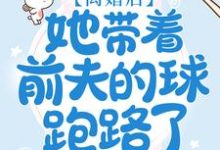离婚后,她带着前夫的球跑路了免费阅读,离婚后,她带着前夫的球跑路了章节在线阅读-红梅文学