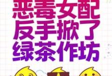 重生后,恶毒女配反手掀了绿茶作坊小说,重生后,恶毒女配反手掀了绿茶作坊在线阅读-红梅文学
