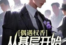 梁健陆媛曹颖是哪本书的主角?寻找偶遇权香,从基层开始辉煌腾达免费阅读-红梅文学