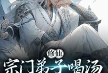 寻找能够免费阅读修仙:宗门弟子喝汤就能涨修为?小说的平台-红梅文学