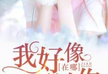 《我好像在哪见过你》小说主角陆离景季章节章节免费在线阅读-红梅文学