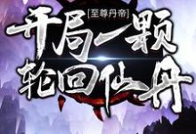至尊丹帝:开局一颗轮回仙丹小说,至尊丹帝:开局一颗轮回仙丹常盛缥缈-红梅文学
