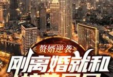 赘婿逆袭:刚离婚就和校花同居免费阅读,赘婿逆袭:刚离婚就和校花同居章节目录-红梅文学