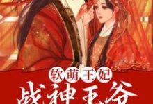 软萌王妃:战神王爷太能宠最新章节,软萌王妃:战神王爷太能宠免费阅读-红梅文学