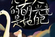 《甜宠!心上人的白月光竟是她自己》小说主角周沉时星瑶章节章节免费在线阅读-红梅文学