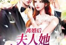 主角秦向晚顾柏瀚小说完结版在线阅读,离婚后,夫人她带崽出国了免费看-红梅文学