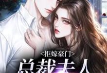 小说《拒嫁豪门,总裁夫人带球跑》章节阅读-红梅文学