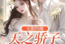 在线寻找无限纠缠:天之骄子疯狂爱小说的无删减版本-红梅文学