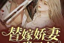 替嫁娇妻甜又软小说的无弹窗阅读体验,寻找免费阅读网站-红梅文学
