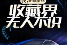 梅九为主角的小说好看吗？求我，专做赝品，收藏界无人不识免费试读-红梅文学