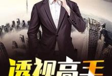 透视高手在都市林峰鲁欣妍小说大结局免费试读-红梅文学