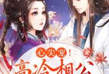 心尖宠!高冷相公夜夜哄免费阅读,心尖宠!高冷相公夜夜哄温馨李珏-红梅文学