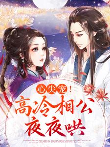 心尖宠！高冷相公夜夜哄免费阅读，心尖宠！高冷相公夜夜哄温馨李珏