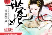 殿主的绝世宠妃水忆初银倾月霄绝叶流光在线章节免费阅读-红梅文学