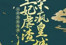 主角叫陶夭夭沈之渊的小说在哪阅读-红梅文学