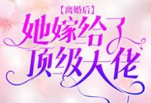离婚后,她嫁给了顶级大佬小说阅读,离婚后,她嫁给了顶级大佬完结版-红梅文学
