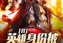 免费阅读牧子明为主角的小说，我，英雄身份被戏子曝光了在线看-红梅文学