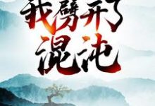 完结版《大劫后,我劈开了混沌》章节阅读-红梅文学