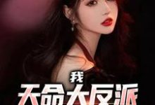 我,天命大反派,女主为我痴狂小说,我,天命大反派,女主为我痴狂最新章节-红梅文学