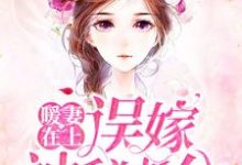 哪里可以免费读到顾星辰沈南城的完整故事?寻找暖妻在上:误嫁神秘老公-红梅文学