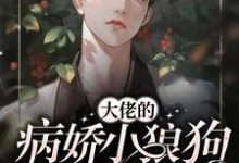 大佬的病娇小狼狗又软又野小说全文哪里可以免费看?-红梅文学