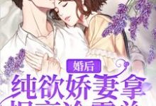 男女主人公叫江念陆北礼的小说免费资源-红梅文学