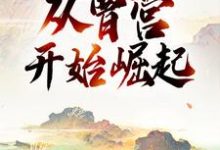 三国:从曹营开始崛起(典默曹操)在线免费阅读-红梅文学