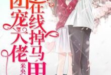 团宠大佬在线掉马甲章节免费在线阅读,楚潇潇祁郁徐馨儿肖正完结版-红梅文学