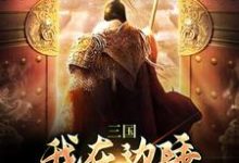 男女主人公顾衍小说三国:我在边陲,扩张家族地盘章节免费阅读-红梅文学