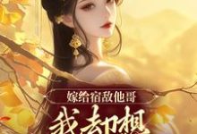 小说《嫁给宿敌他哥，我却想爬宿敌的床》章节免费阅读-红梅文学