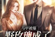 马甲被爆，野玫瑰成了大佬掌中娇小说，马甲被爆，野玫瑰成了大佬掌中娇章节在线阅读-红梅文学