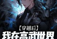 《穿越后,我在高武世界绑定宝箱系统》全集免费在线阅读(叶枫)-红梅文学