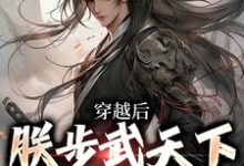 求穿越后,朕步武天下覆灭江湖小说的全文免费阅读链接-红梅文学