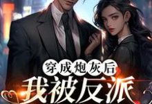 曹斌唐若雪是哪本书的主角?寻找穿成炮灰后,我被反派夫人拉黑了免费阅读-红梅文学