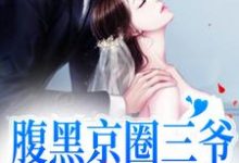 腹黑京圈三爷,只对她心动小说最新更新在哪里?免费在线看-红梅文学